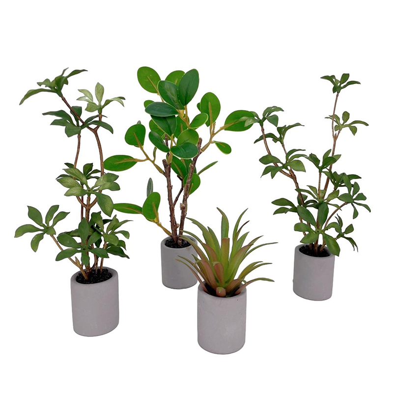 Bonsai Garden Miniature - 1:6 Dollhouse Miniature Potted Plant Green