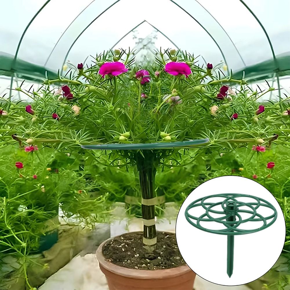 Bonsai Garden Stand - S/M/L Bonsai Climbing Frame Plastic Multi-layer