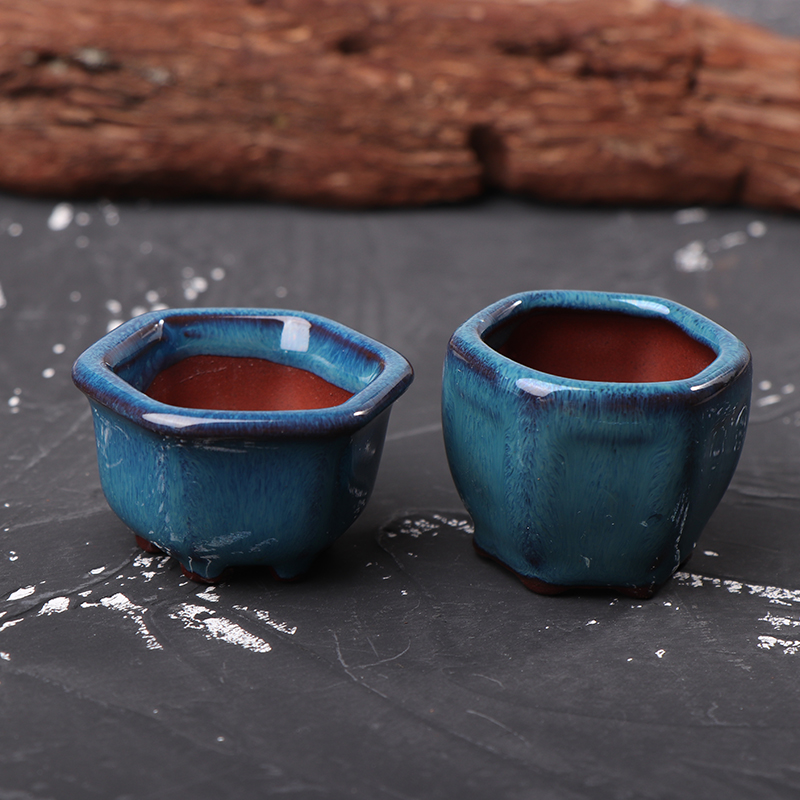 Bonsai Garden With Sand - *Mini Plant Pots Flower Pot With