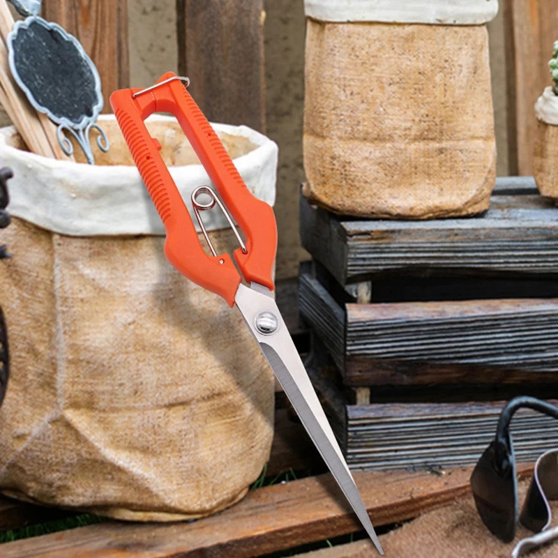 Multi-Purpose Pruning Scissors - огляд і ціна Bonsai Garden Knife