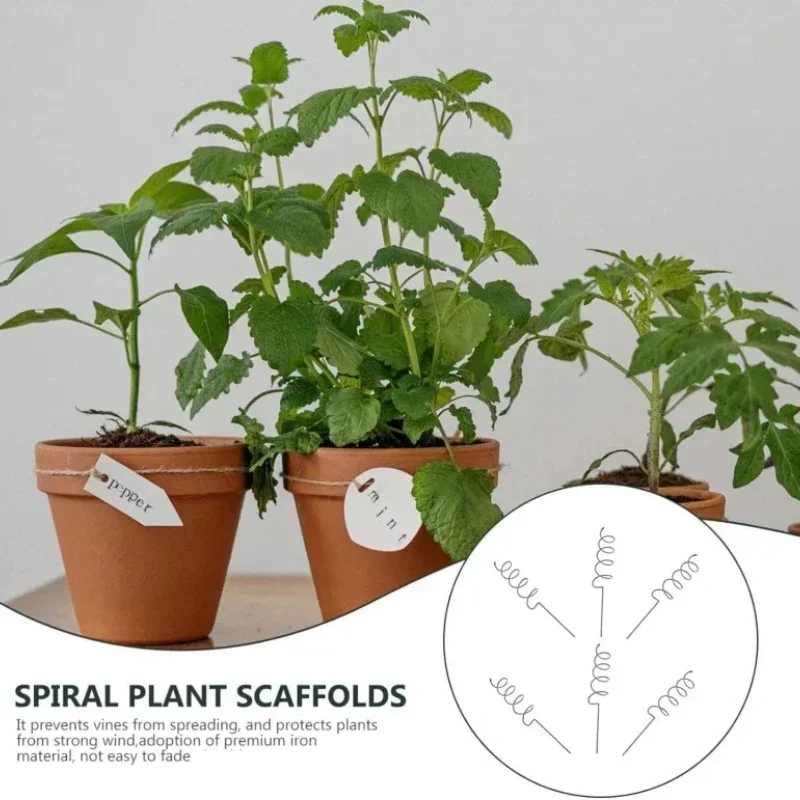 Climbing Plant Support Stake S - огляд і ціна Bonsai Gardening