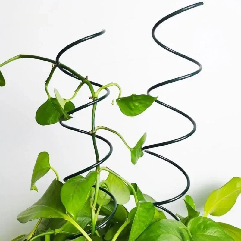 Climbing Plant Support Stake S - огляд і ціна Bonsai Gardening