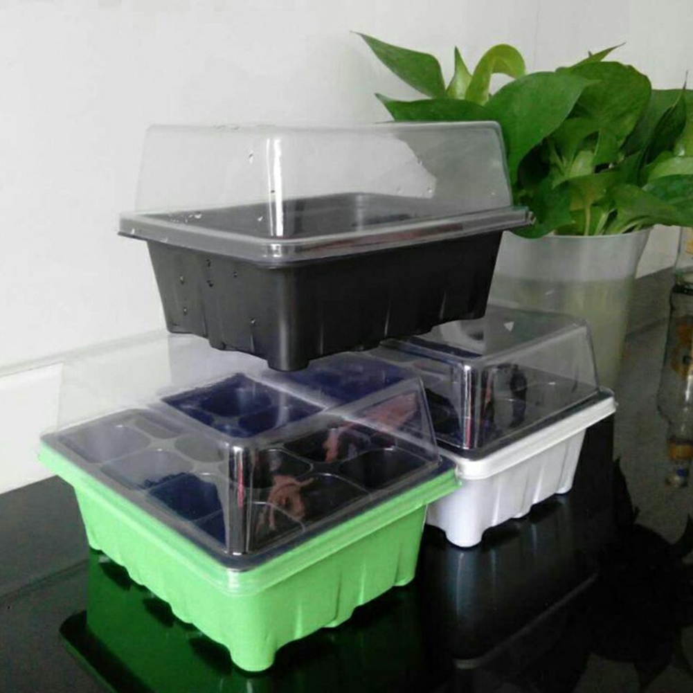 Seed Starter Kit 12 Cells Seed - огляд і ціна Bonsai Garden Grow Kit