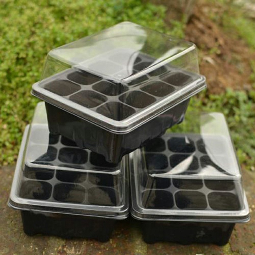 Seed Starter Kit 12 Cells Seed - огляд і ціна Bonsai Garden Grow Kit