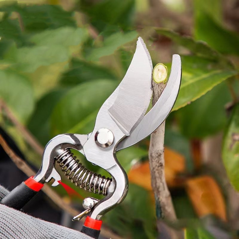 Pruner Garden Scissors Graftin - огляд і ціна Bonsai Garden Knife