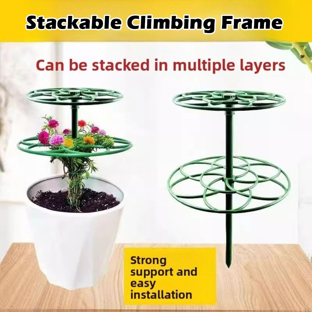 S/M/L Bonsai Climbing Frame Pl - огляд і ціна Bonsai Garden Stand