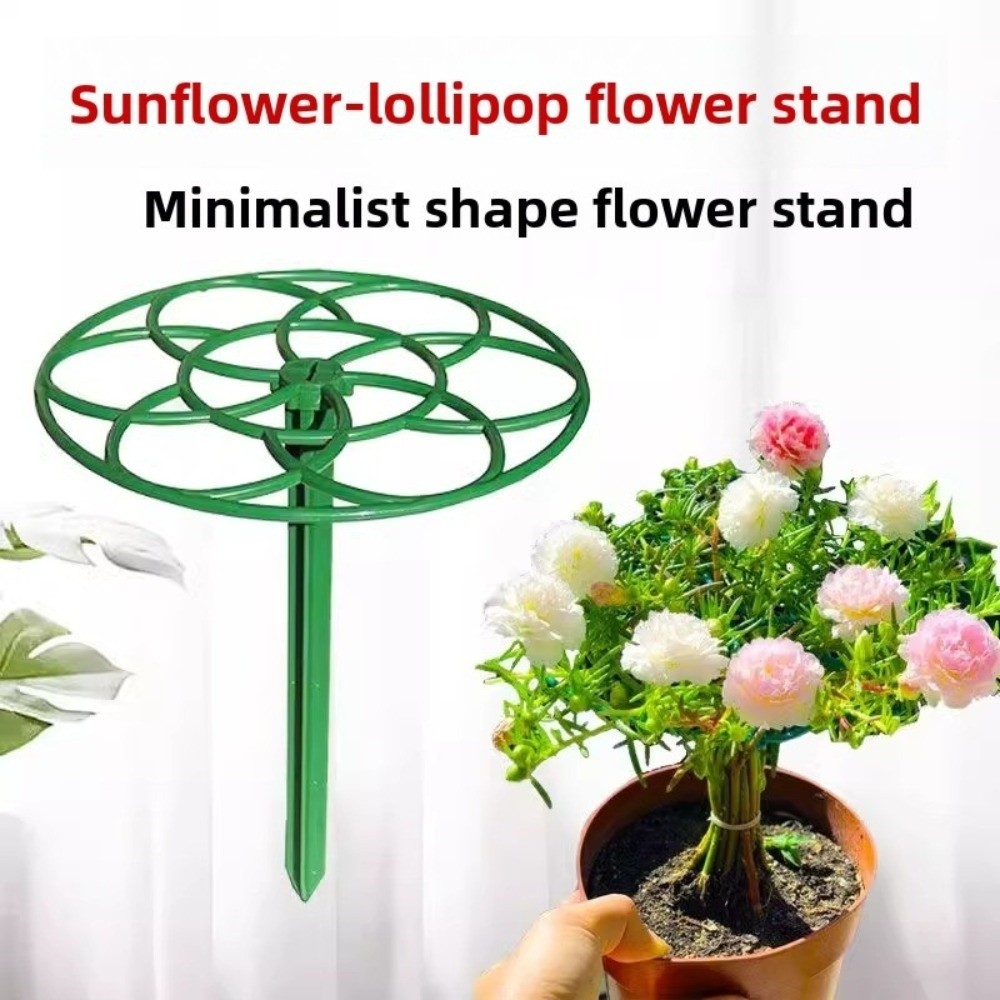 S/M/L Bonsai Climbing Frame Pl - огляд і ціна Bonsai Garden Stand