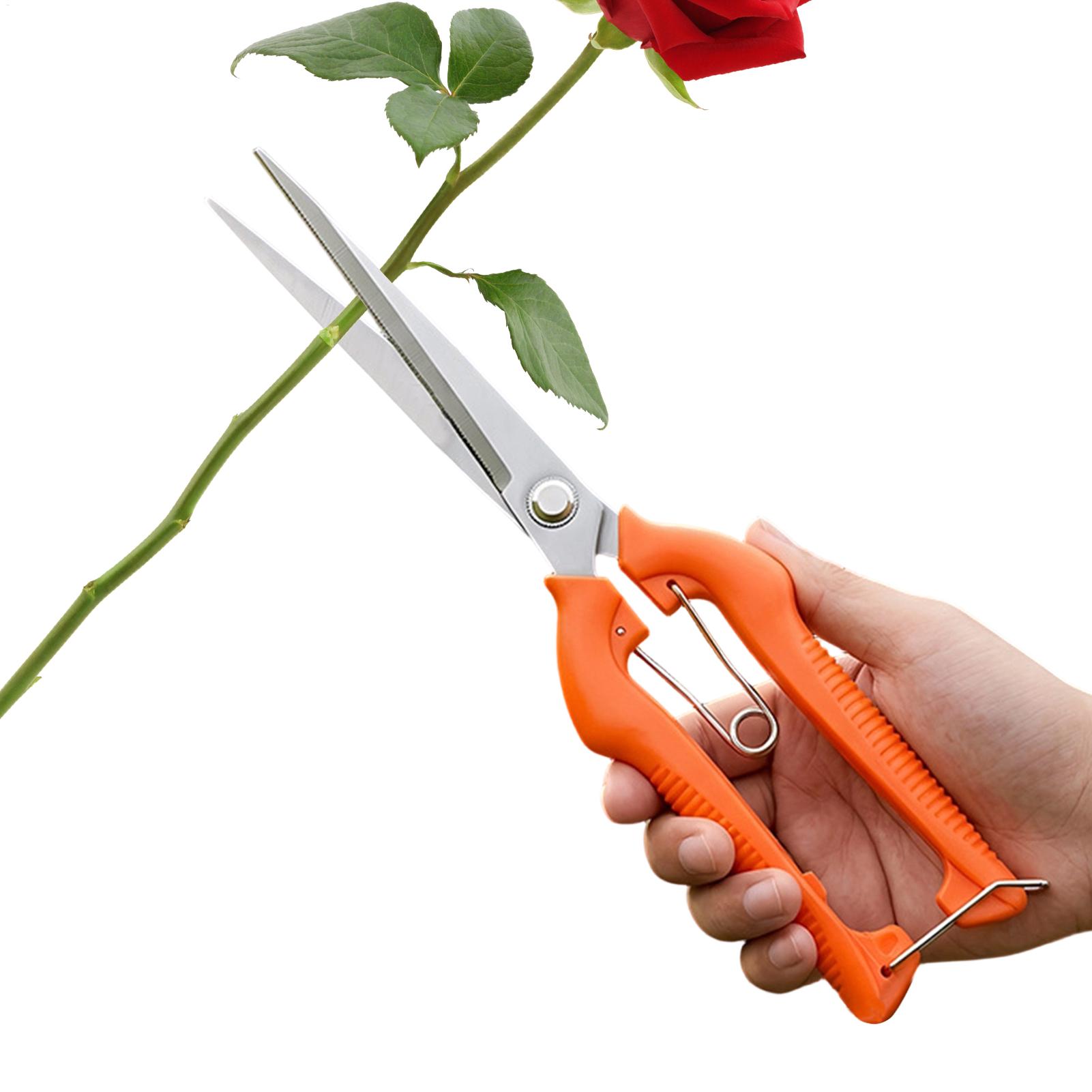 Pruning Shears Grape Scissors  - огляд і ціна Bonsai Garden Knife