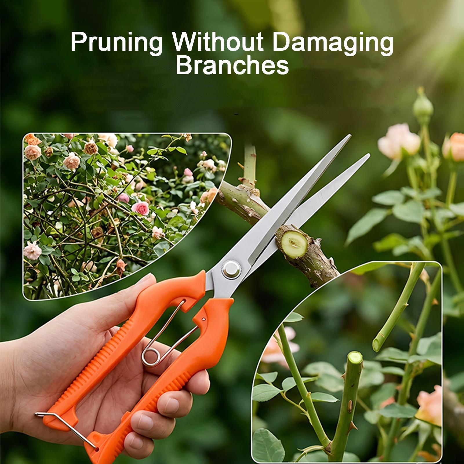 Pruning Shears Grape Scissors  - огляд і ціна Bonsai Garden Knife