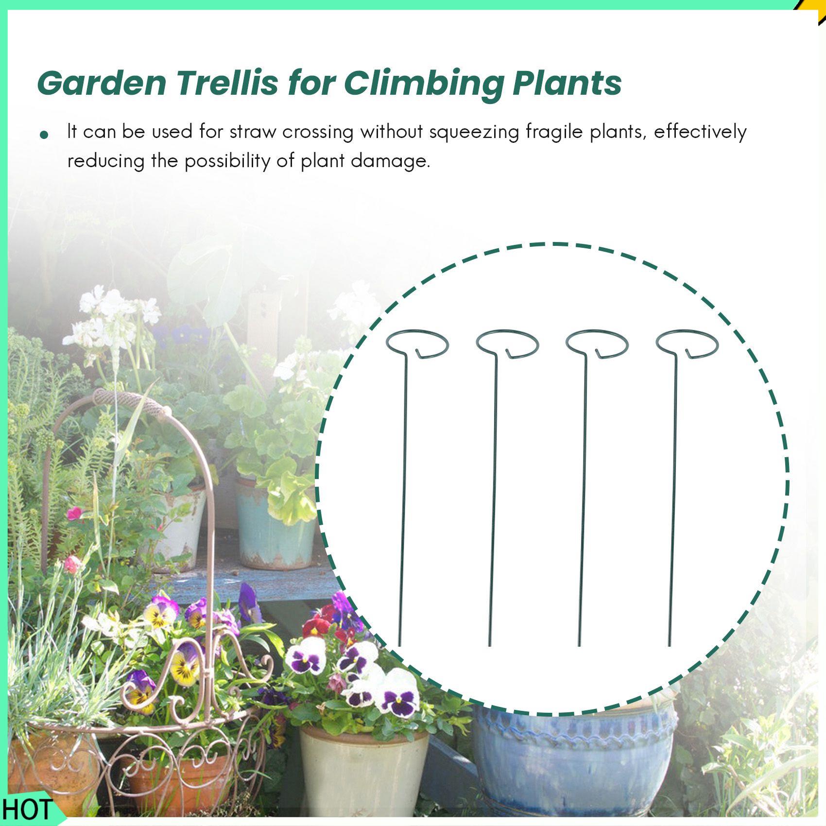 AWAH 8PCS Beautiful Plant Supp - огляд і ціна Bonsai Garden Backyard