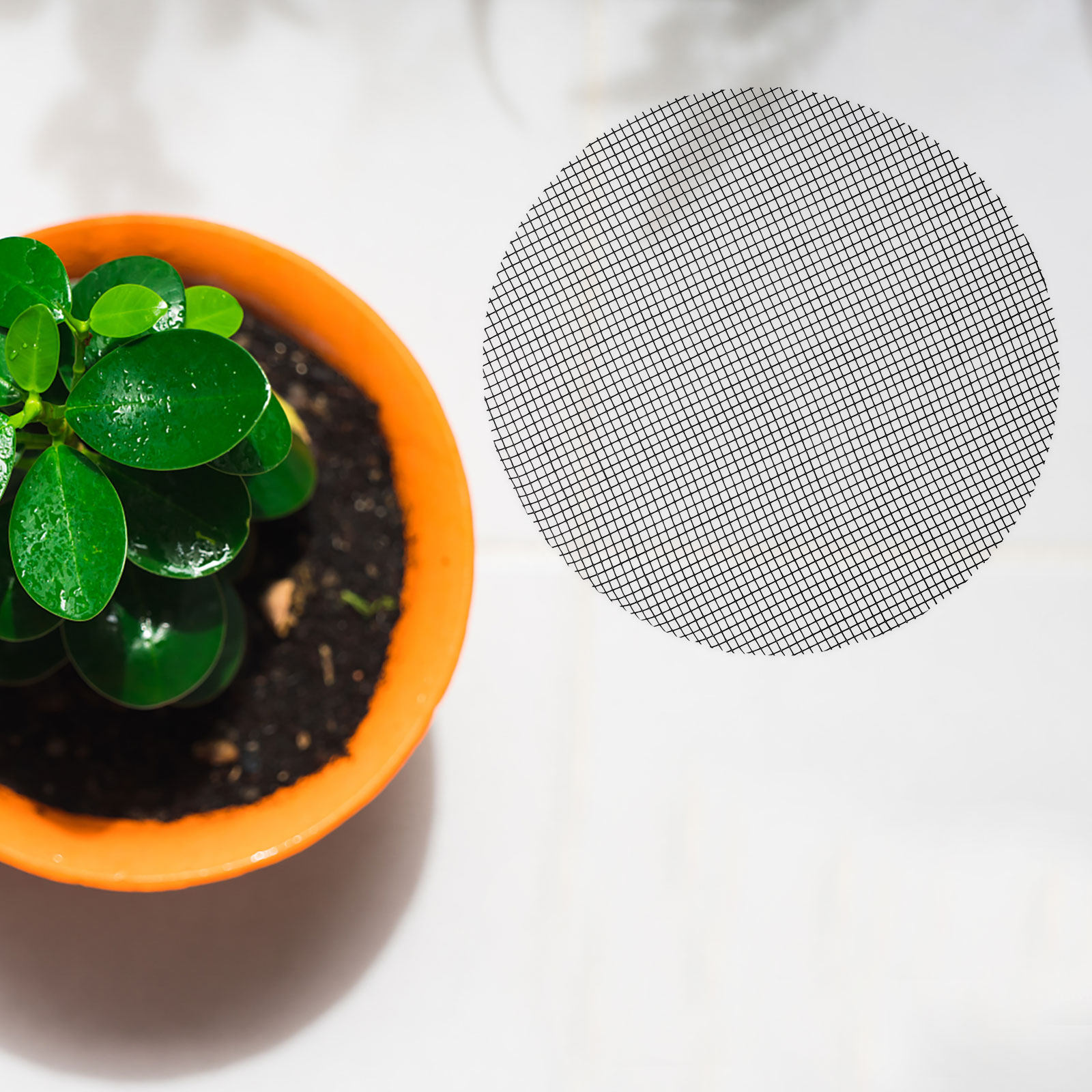 50Pcs Flower Pot Hole Mesh Pad - огляд і ціна Bonsai Gardening