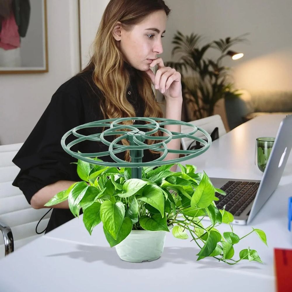 Durable S/M/L Bonsai Climbing  - огляд і ціна Bonsai Garden Stand