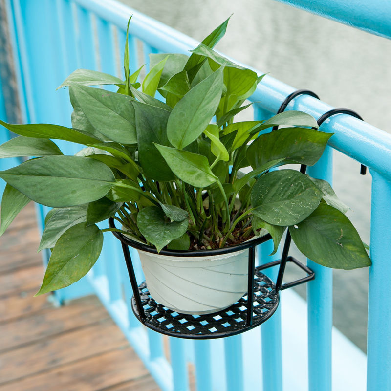 1PC Gardening Pots Outdoor Win - огляд і ціна Bonsai Garden Stand