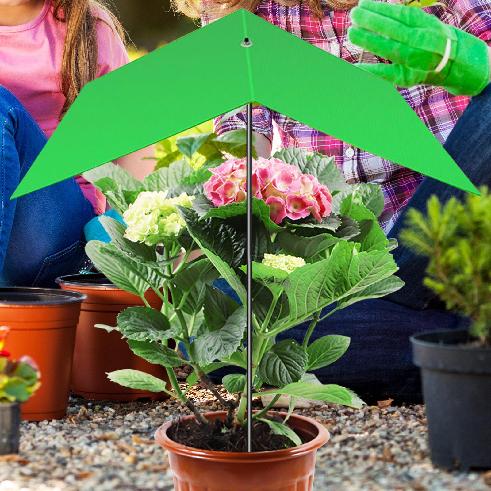 Plant Umbrella Anti-UV Heat Re - огляд і ціна Bonsai Garden Backyard