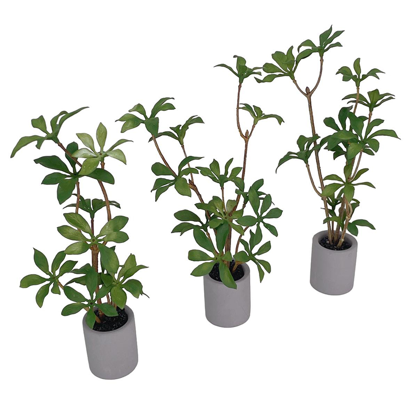 1:6 Dollhouse Miniature Potted - огляд і ціна Bonsai Garden Miniature