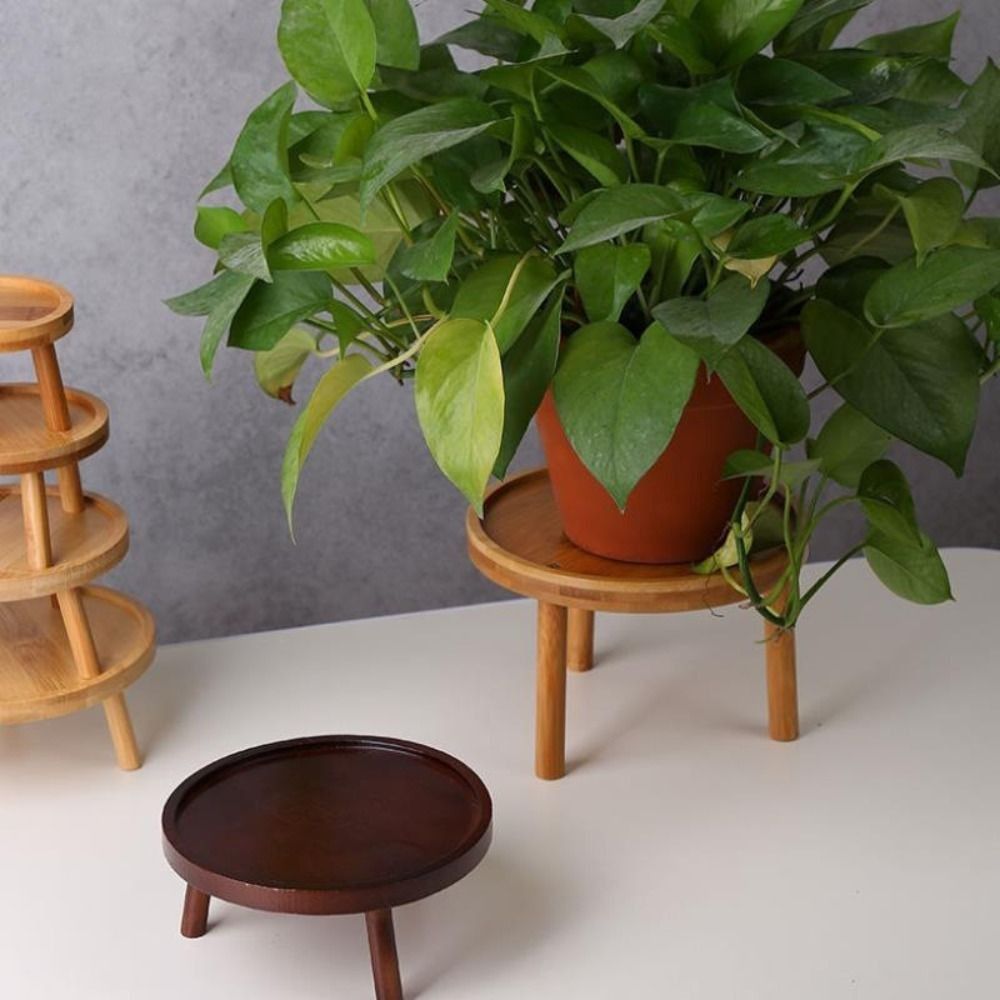 Solid Creative Succulent Flowe - огляд і ціна Bonsai Garden Stand