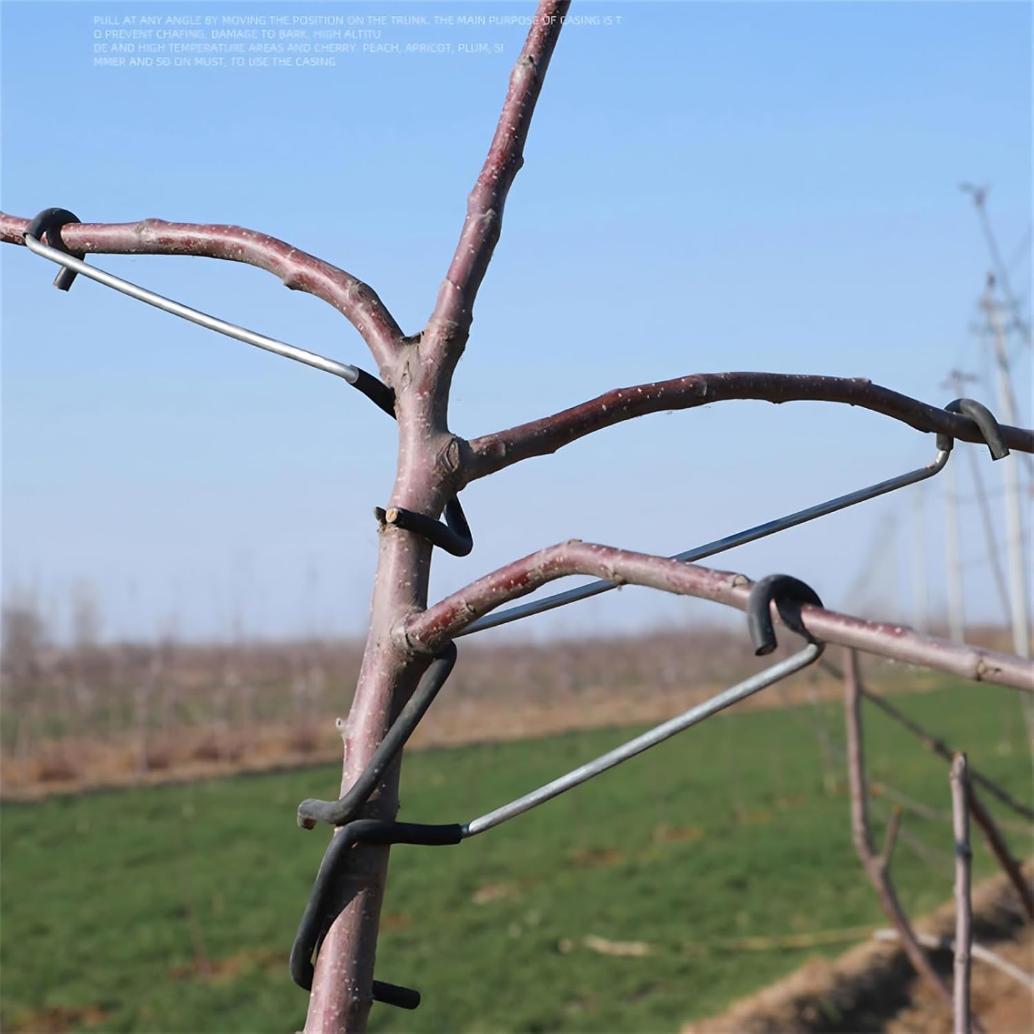 Adjustable Fruit Tree Branch S - огляд і ціна Bonsai Gardening