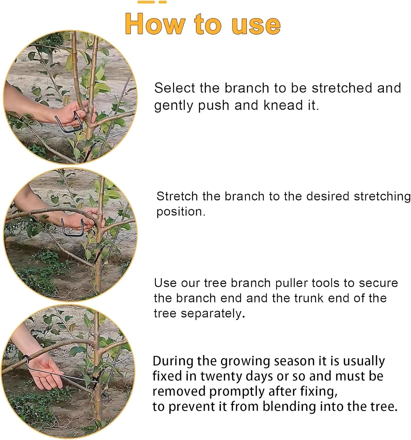 Adjustable Fruit Tree Branch S - огляд і ціна Bonsai Gardening
