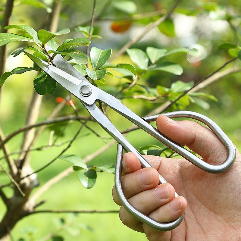 Tender Leaf Scissors Bonsai To - огляд і ціна Bonsai Garden Knife