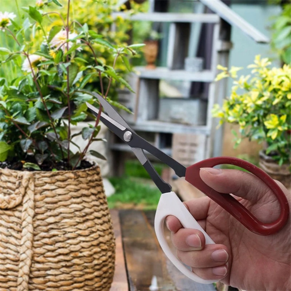 Bonsai Tool Long Handle Scisso - огляд і ціна Bonsai Garden Knife