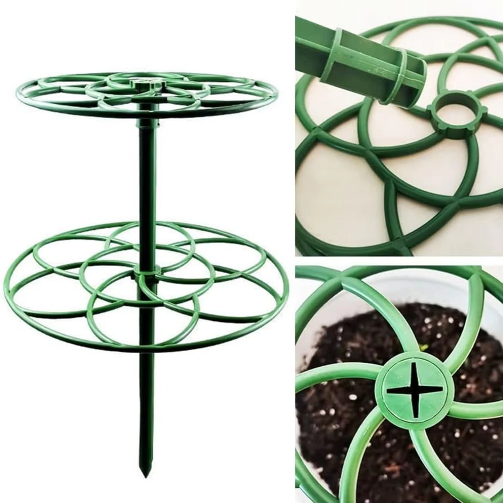 S/M/L Bonsai Climbing Frame Pl - огляд і ціна Bonsai Garden Stand