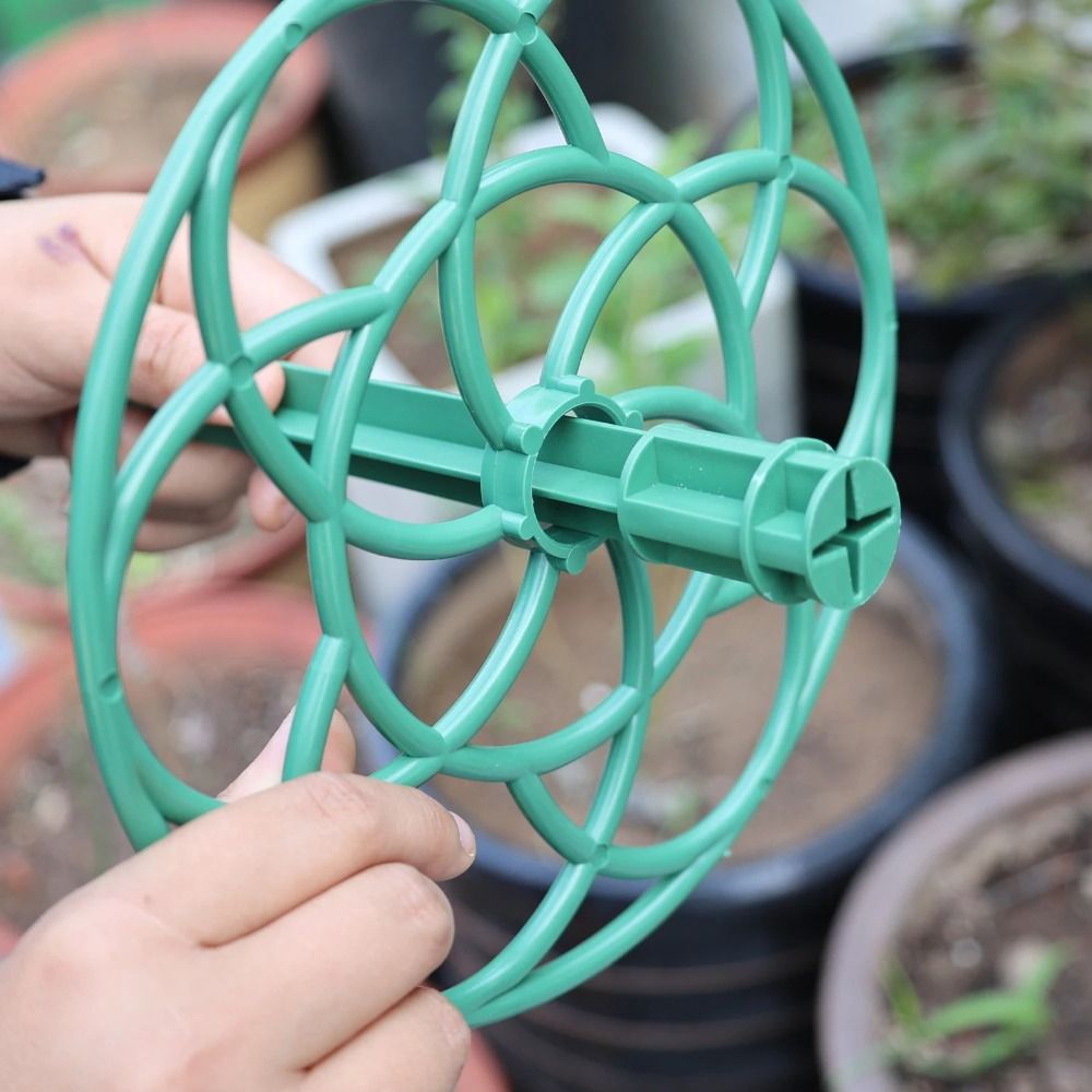 S/M/L Bonsai Climbing Frame Pl - огляд і ціна Bonsai Garden Stand