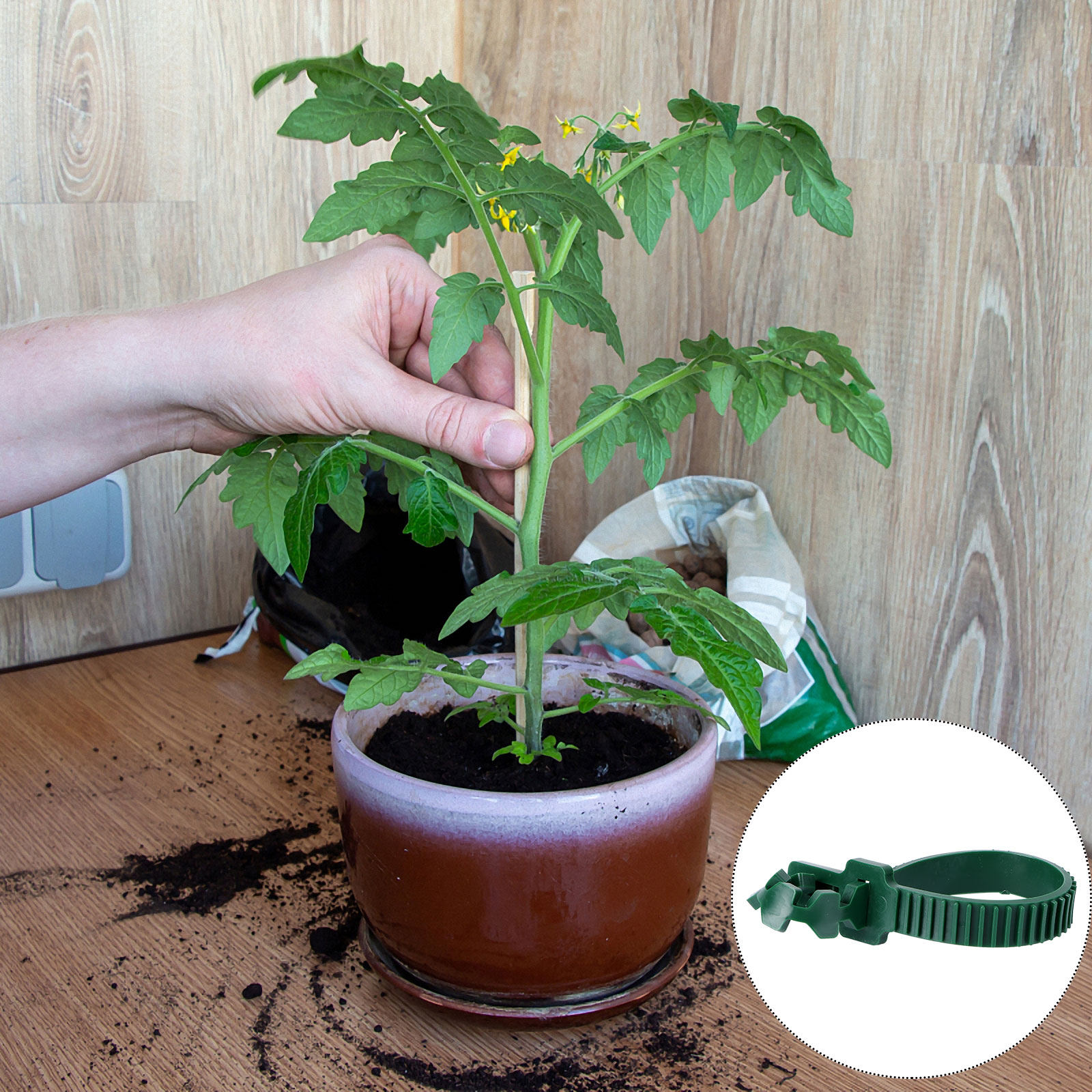 20Pcs Vine Fixing Buckle Garde - огляд і ціна Bonsai Gardening