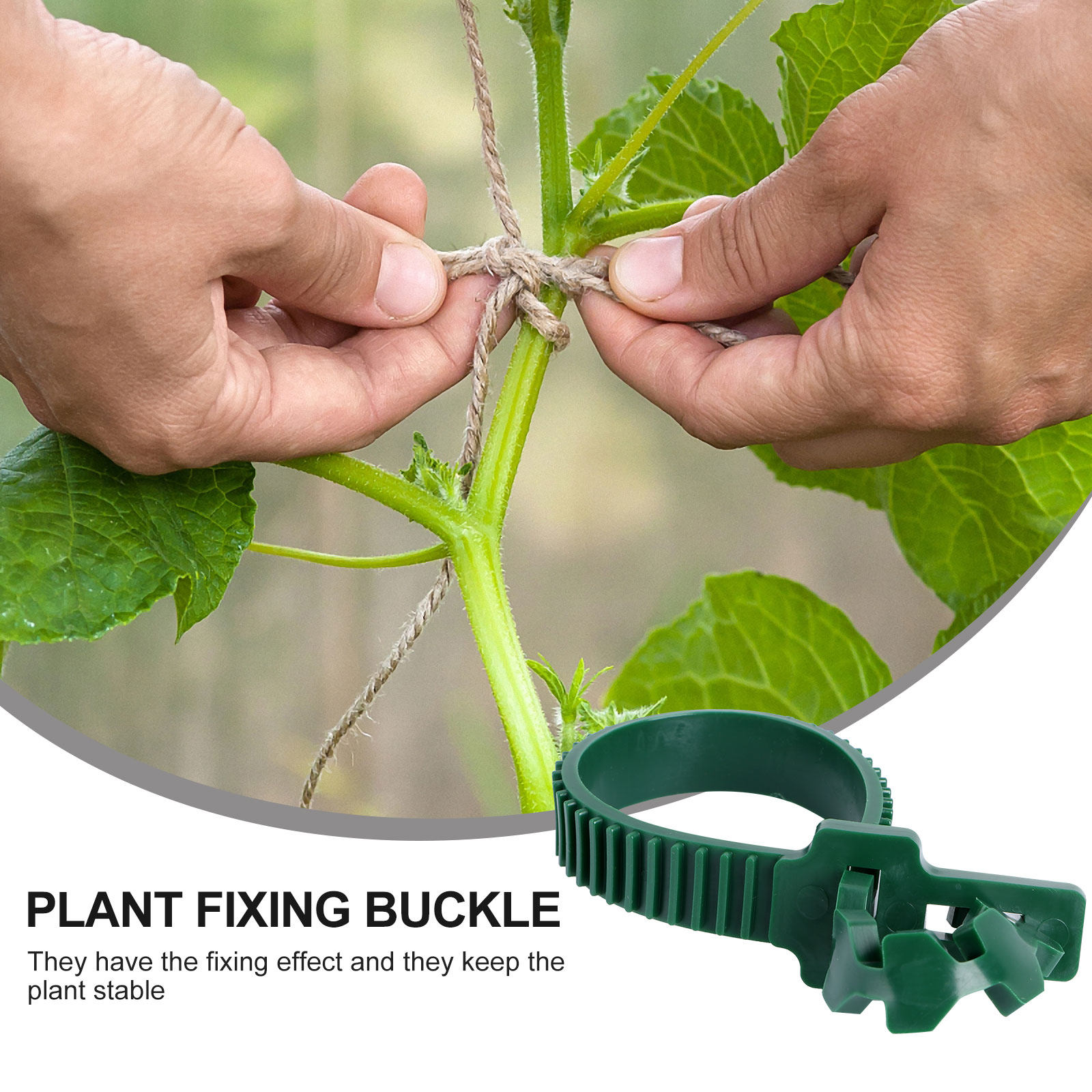 20Pcs Vine Fixing Buckle Garde - огляд і ціна Bonsai Gardening