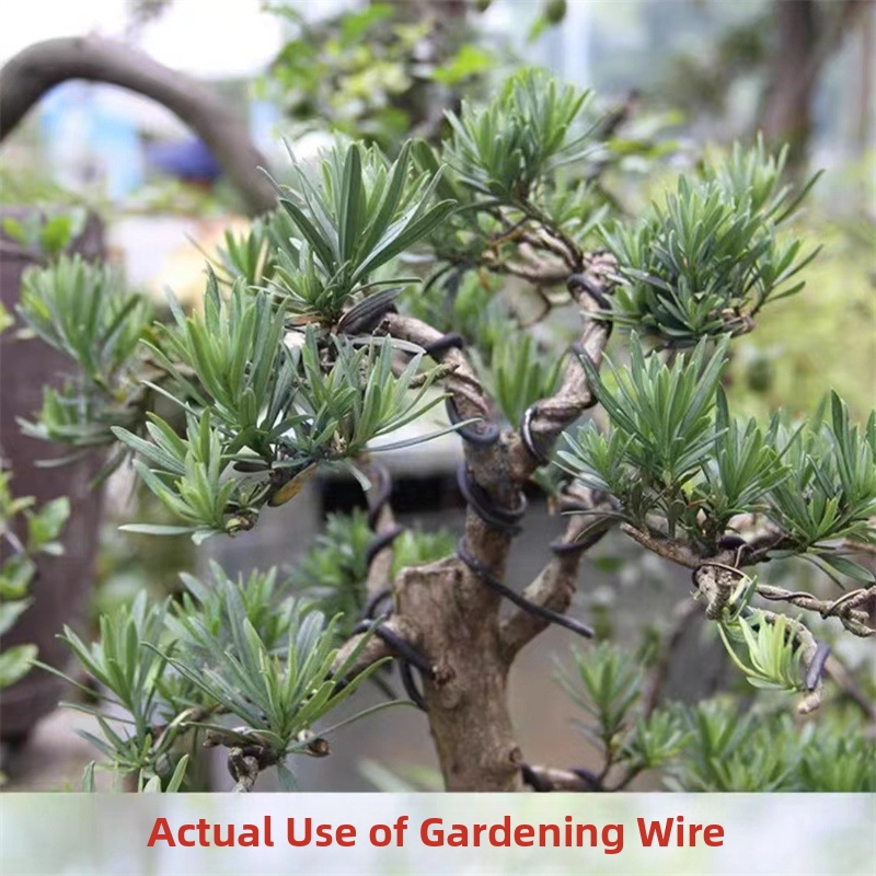 1.5MM Bonsai Wires Aluminum Bo - огляд і ціна Bonsai Gardening