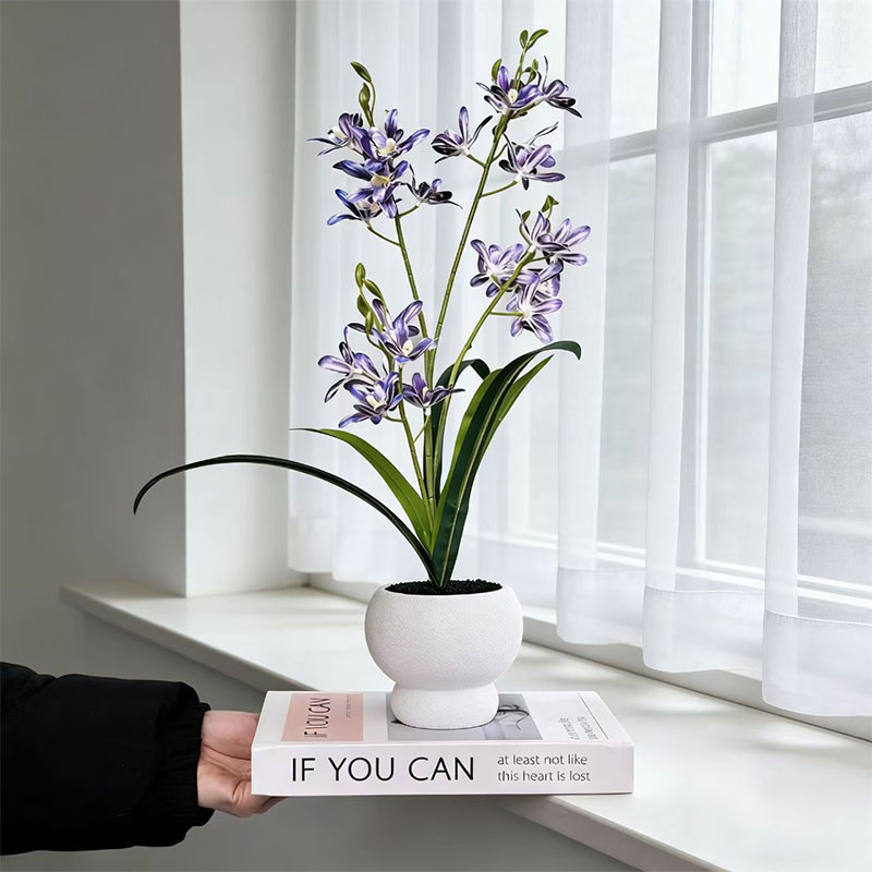 New Jumping Orchid Black Sand  - огляд і ціна Bonsai Garden With Sand