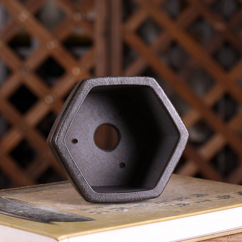 Hexagon Bonsai Pot, Purple San - огляд і ціна Bonsai Garden With Sand