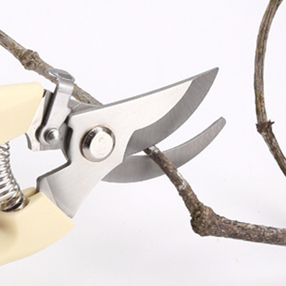 Pruner Shears Hand Tools Bonsa - огляд і ціна Bonsai Garden Knife