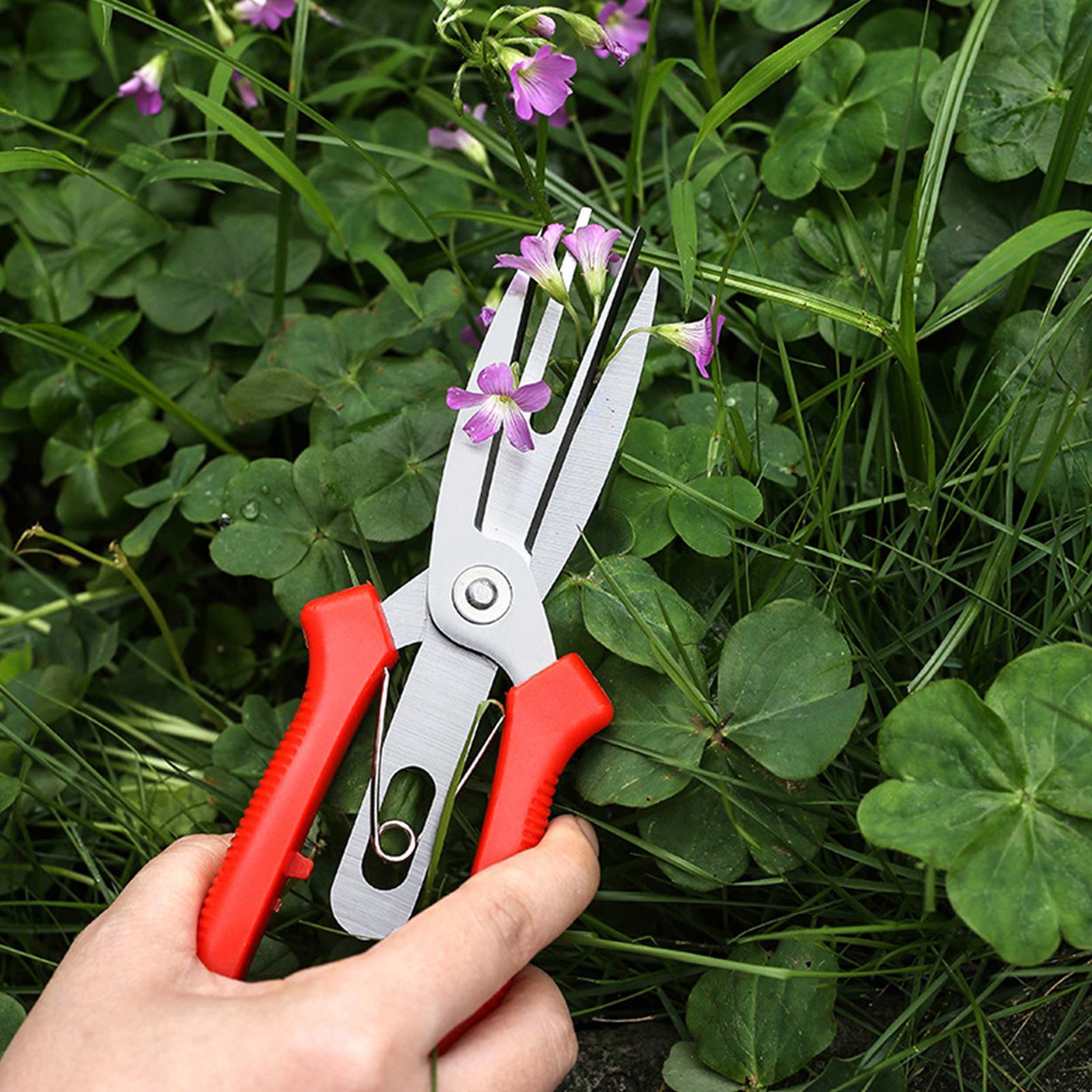 Garden Shears Stainless Steel  - огляд і ціна Bonsai Gardening