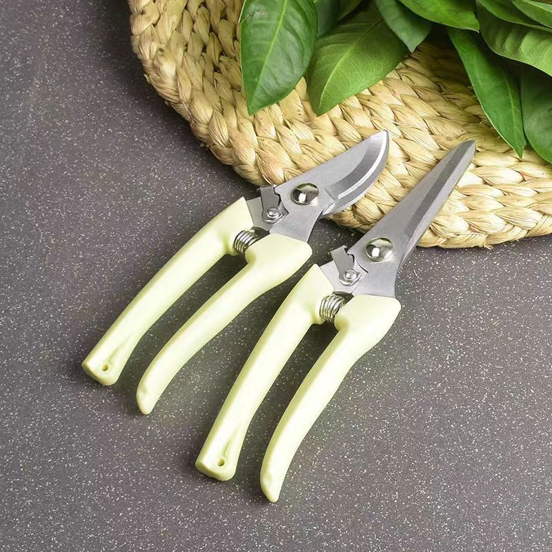 Stainless Steel Garden Pruning - огляд і ціна Bonsai Garden Knife