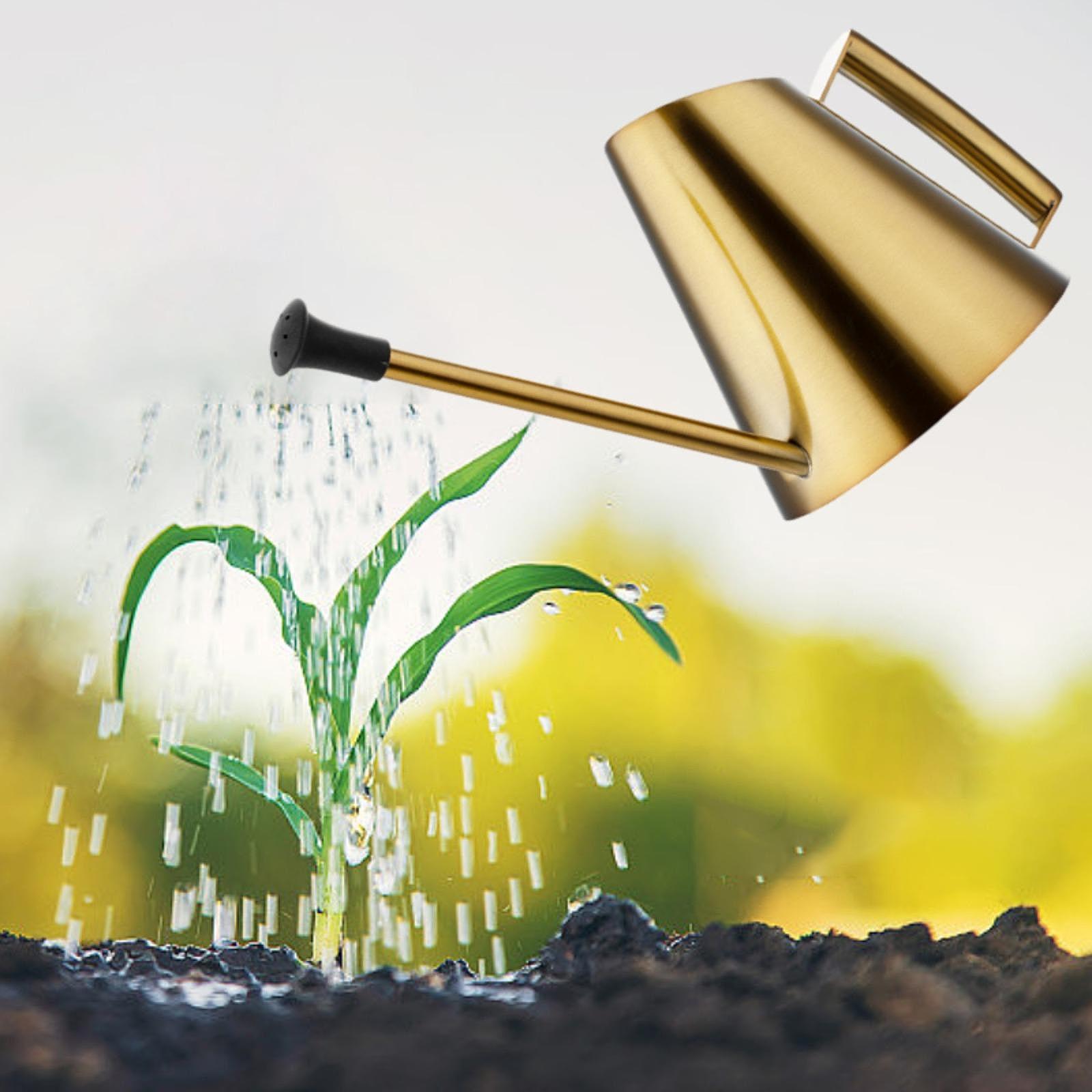 900ml Watering Can Sprinkler H - огляд і ціна Bonsai Garden Backyard