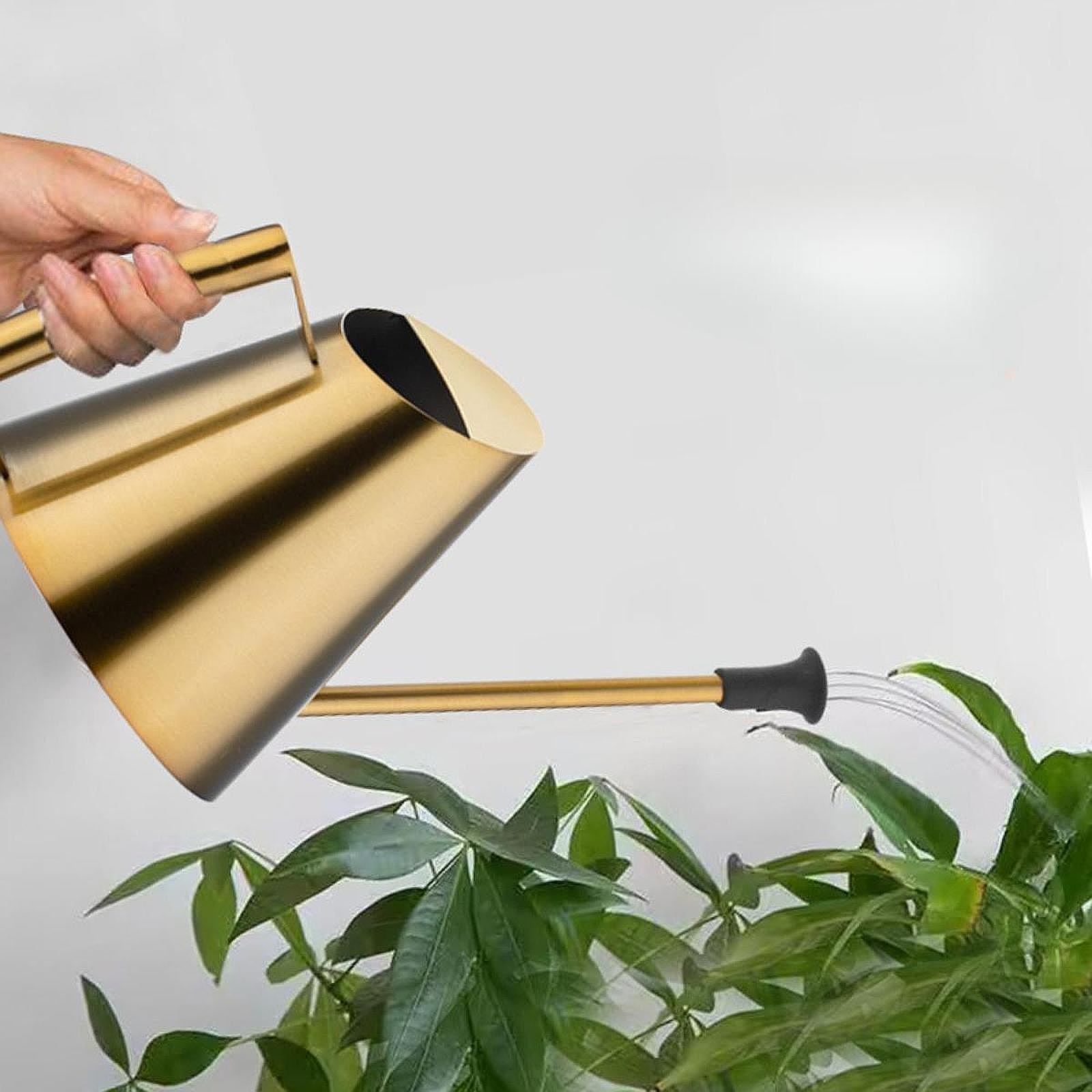 900ml Watering Can Sprinkler H - огляд і ціна Bonsai Garden Backyard