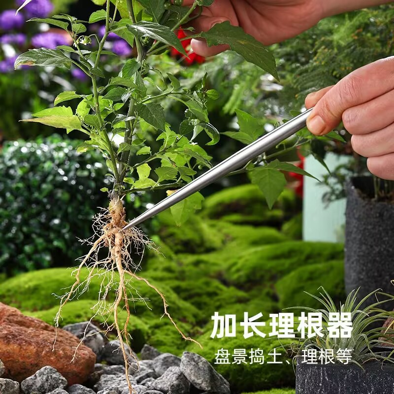 Solid Stainless Steel Root Hoo - огляд і ціна Root Hook Tool
