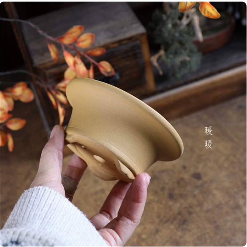 Crude Pottery Small Swallow Po - огляд і ціна Bonsai Garden With Sand