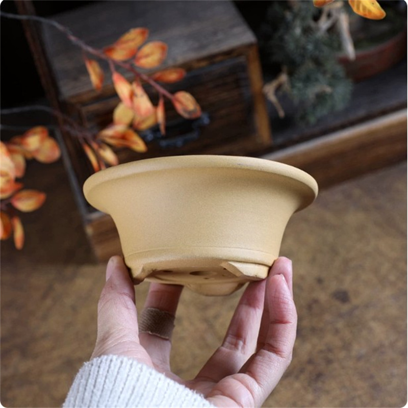 Crude Pottery Small Swallow Po - огляд і ціна Bonsai Garden With Sand