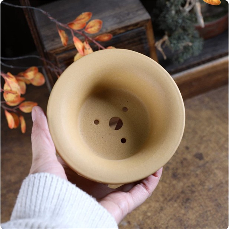 Crude Pottery Small Swallow Po - огляд і ціна Bonsai Garden With Sand