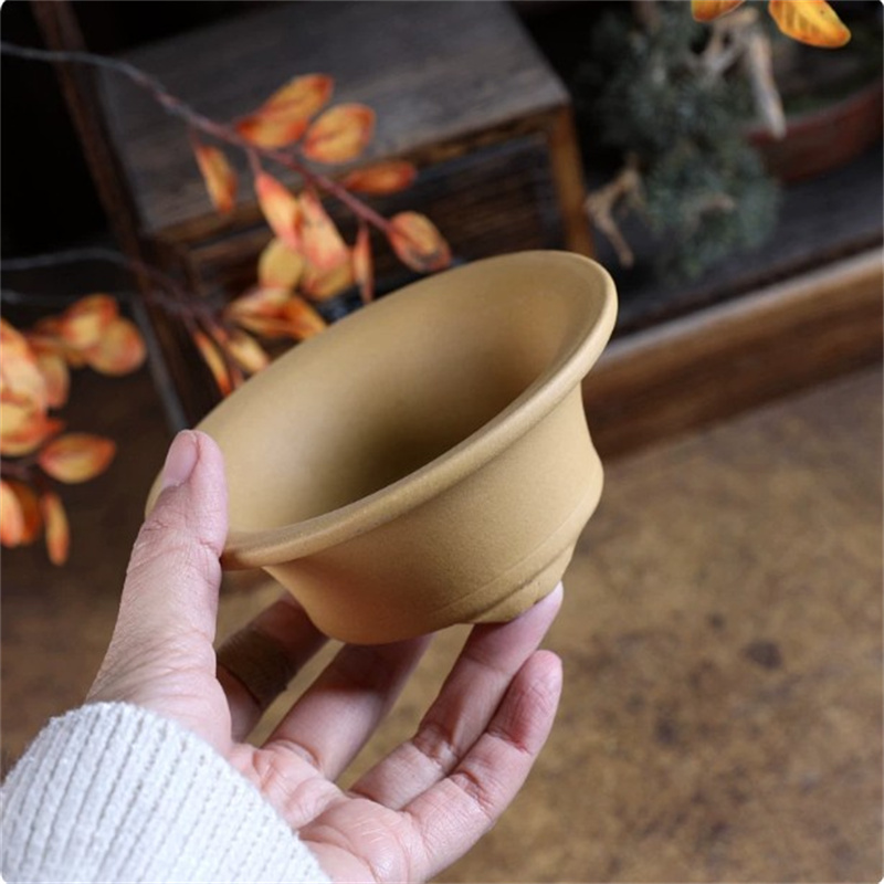 Crude Pottery Small Swallow Po - огляд і ціна Bonsai Garden With Sand