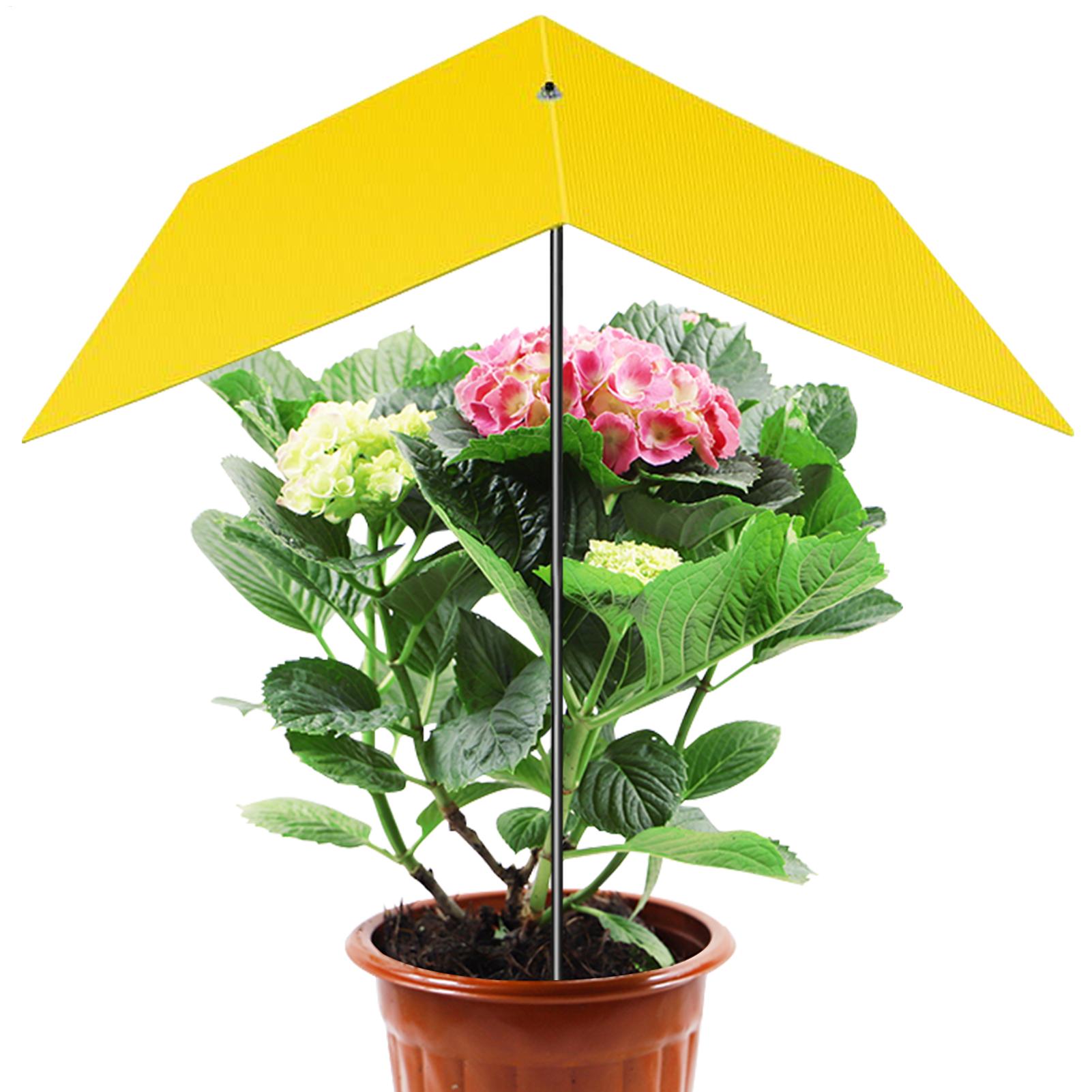 Umbrellas For Outdoor Plants U - огляд і ціна Bonsai Garden Backyard