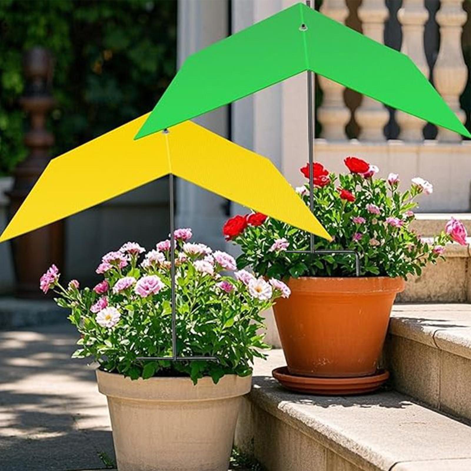 Umbrellas For Outdoor Plants U - огляд і ціна Bonsai Garden Backyard