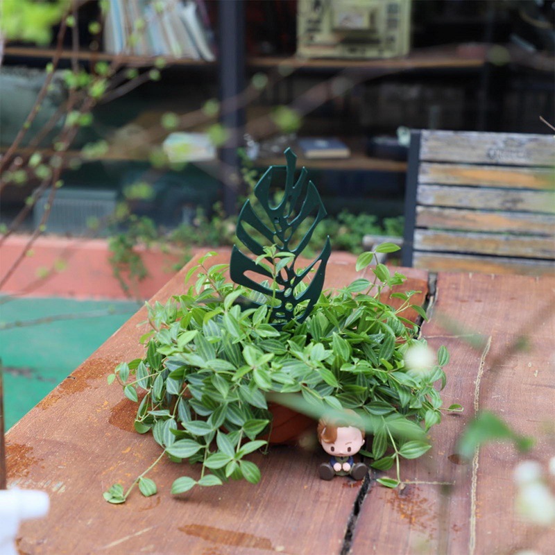 Plant Climbing Support Stand F - огляд і ціна Bonsai Garden Stand