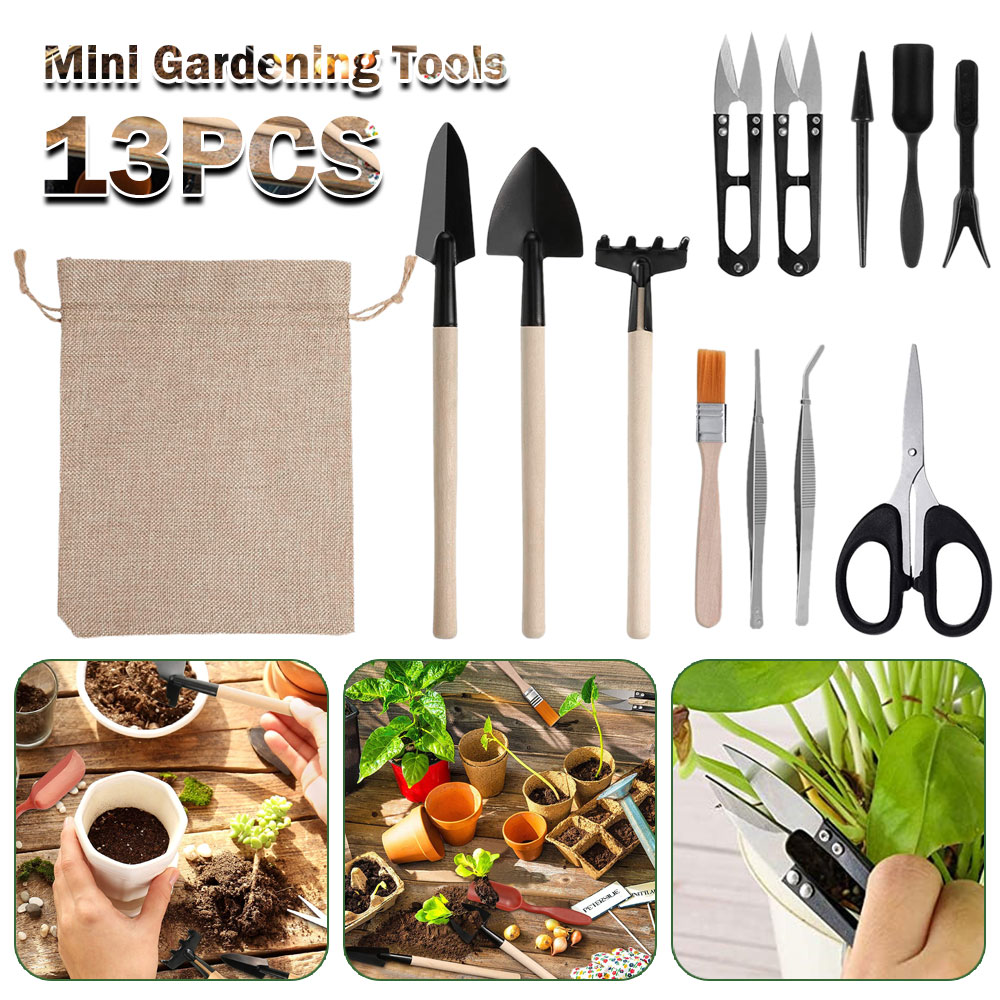 Succulent Plants Tools Mini Ga - огляд і ціна Bonsai Garden Miniature