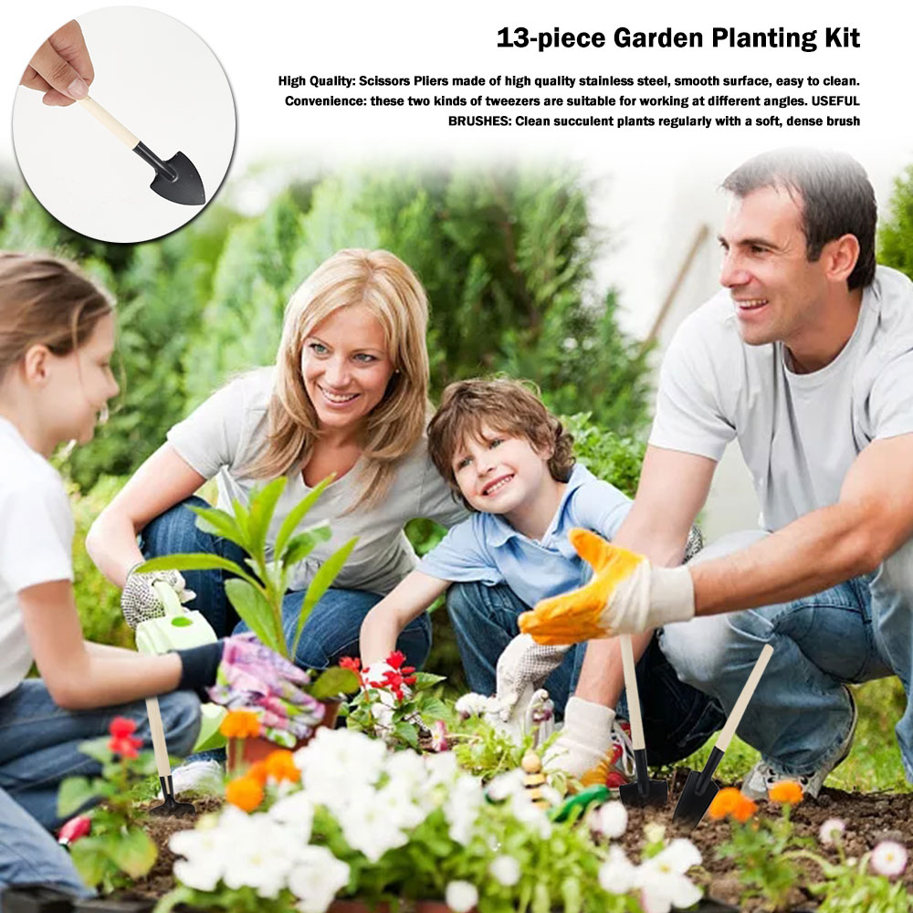 Succulent Plants Tools Mini Ga - огляд і ціна Bonsai Garden Miniature